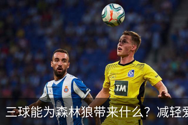 三球能为森林狼带来什么？减轻爱德华兹单打负担 麦丹能惩罚对手