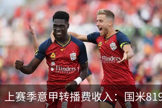 上赛季意甲转播费收入：国米8198万欧元最高，米兰第二尤文第五