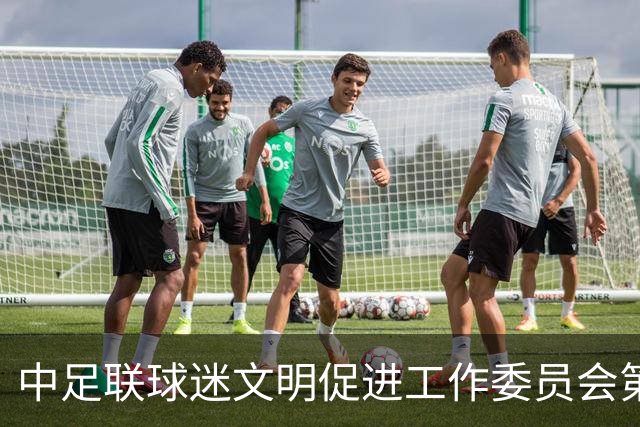 中足联球迷文明促进工作委员会第一次会议在青岛召开