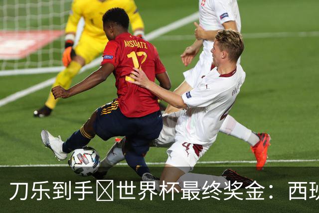 刀乐到手🤑世界杯最终奖金：西班牙夺冠获5000万，阿根廷3300万